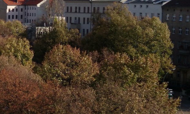 Bei starker Vergrößerung fallen die matschigen Details und Artefakte beim Xperia Z1 noch deutlicher auf. (Bild: Tobias Költzsch/Golem.de)